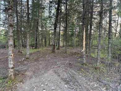 View of wooded area