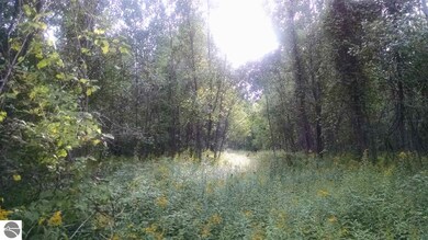 NKA Davis, Au Gres, MI 48703 - photo 4