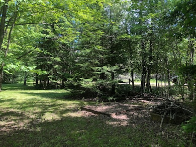 9512 W Rex St, Brimley/Bay Mills, MI 49715 - photo 4