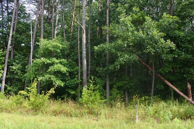 Lot 36 N Shady Lane Loop, Clarkrange, TN 38553 - photo 3