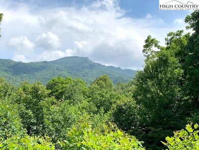 Lot 2 Caseys Gap Rd, Banner Elk, NC 28604 - photo 2