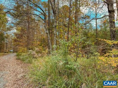 365 Moon Shadow Ln Ln unit 18, Louisa, VA 23093 - photo 3