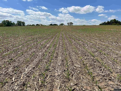 Parcel 1 Spring Saunders County Acreages County Rd S, Yutan, NE 68073 - photo 3