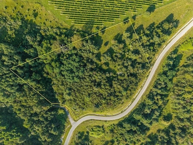 Twelve Ridges Way, Vesuvius, VA 24483 - photo 2