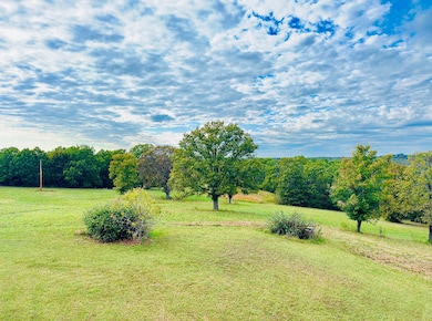 20685 E Highway M, Stockton, MO 65785 - photo 3