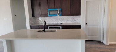 1037 Winecup Ln, Weatherford, TX 76085 - photo 5