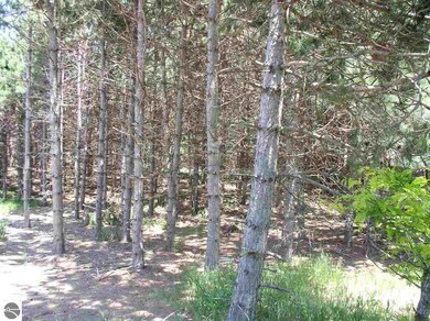 . N Walnut, Bitely, MI 49309 - photo 7