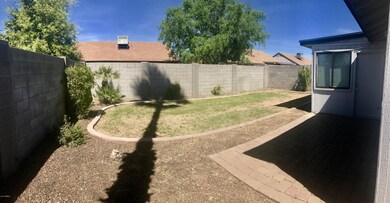 Nice, clean, large yard