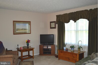 240 Little Sorrel Dr, Strasburg, VA 22657 - photo 7