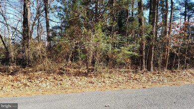 Lots 9 & 10 Shore Dr, Washington, VA 22443 - photo 3