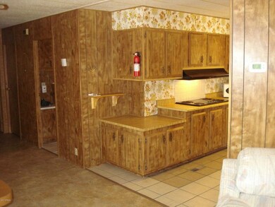 Kitchen View 2