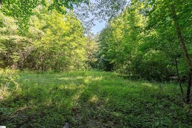 7004 Mountain View Rd, Taylors, SC 29687 - photo 6