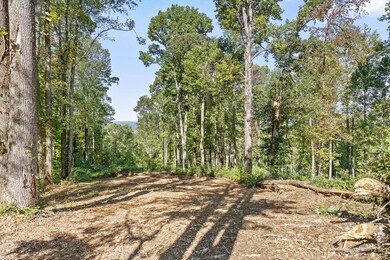 Lot 38 High Summit Dr, Talking Rock, GA 30175 - photo 7