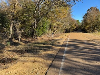 00 Mississippi 9, Bruce, MS 38915 - photo 6