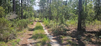 0 NE 67th Ln unit MFRGC533538, Bronson, FL 32621 - photo 3