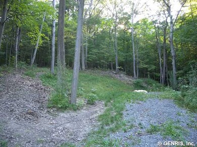 Land/Lot. This parking provides plenty of room for