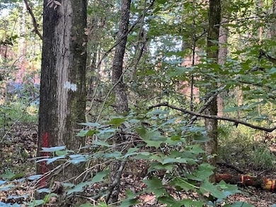 0 Curry Rd, Monroeville, AL 36460 - photo 3