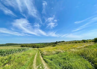 TBD County 8, Spring Grove Township, MN 55954 - photo 2