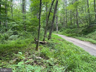 9.89Acs Rough Run Rd, Eastern, WV 26802 - photo 2