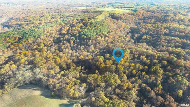 1924 Suchman Rd, Ava, IL 62907 - photo 7