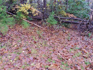 Gently Sloped Lot