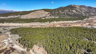 11622 Populist, Leadville, CO 80461 - photo 4