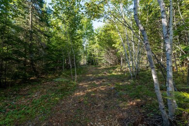 148 - Acadia View Land - DTP