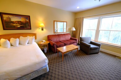 322 QII Jackson Gore Inn unit 322 QII, Ludlow, VT 05149 - photo 5