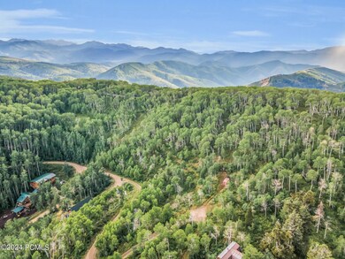 4-web-or-mls-DJI_0293