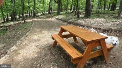 Lot 203 Hampshire Ridge, Romney, WV 26757 - photo 2