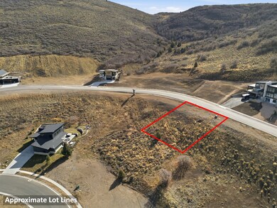 Aerial overview of property's location with property parcel outlined and a mountainous background