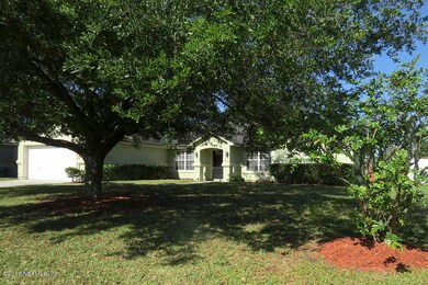 Large Shade Trees