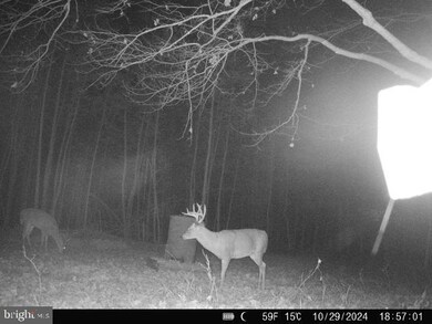 0 Aireys Rd unit MDDO2008728, Cambridge, MD 21613 - photo 2