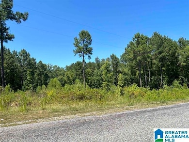 0 Cedar Creek Dr unit 21437061, Sylacauga, AL 35151 - photo 2