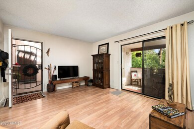 Main Living Space
