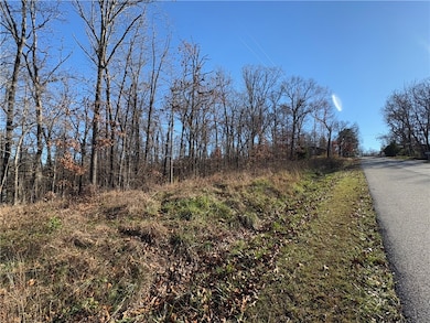 0 Egton Dr unit 1330074, Bella Vista, AR 72714 - photo 4