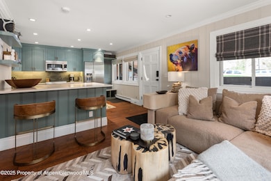 835 E Hyman Ave unit D, Aspen, CO 81611 - photo 6