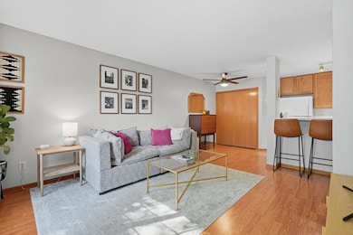 2056 Gresham Ave N, Saint Paul, MN 55128 - photo 4