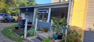 114 W Main St, Big Run, PA 15715 - photo 6