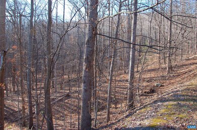 73 Crawfords Point, Nellysford, VA 22958 - photo 2