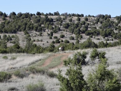 0 Tbd unit 304-11-016E 205653, White Mountain Lake, AZ 85912 - photo 3
