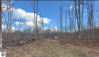 TBD Blackberry Ln, Star Township, MI 49730 - photo 6