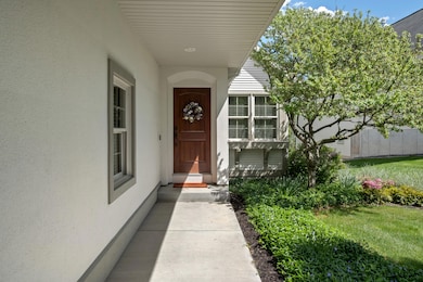 Photo-3