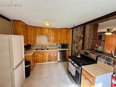 753 Will Stutley Dr, Divide, CO 80814 - photo 3