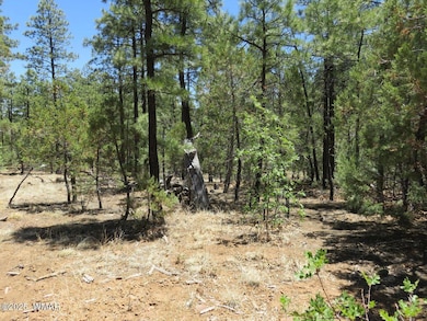 20180531201836565277000000-o - Copy - Co