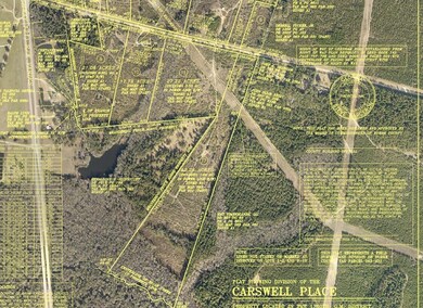 Lower Tracts