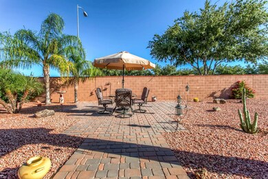Back Yard 3