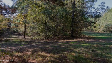 16098 Emory Rd, West, MS 39192 - photo 7
