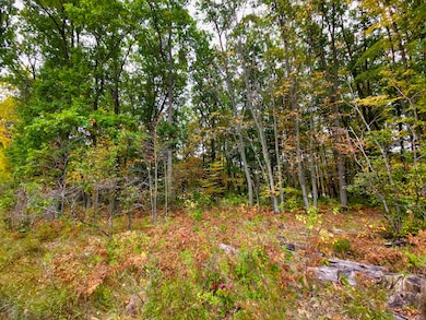 V/L N, Roscommon, MI 48653 - photo 3