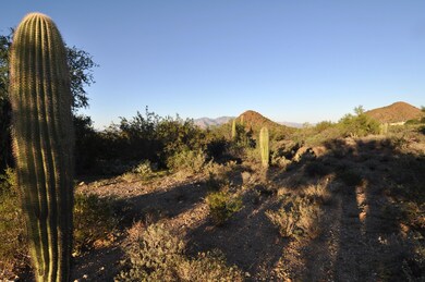 the land